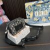 Replica Dior Bag 12*17CM