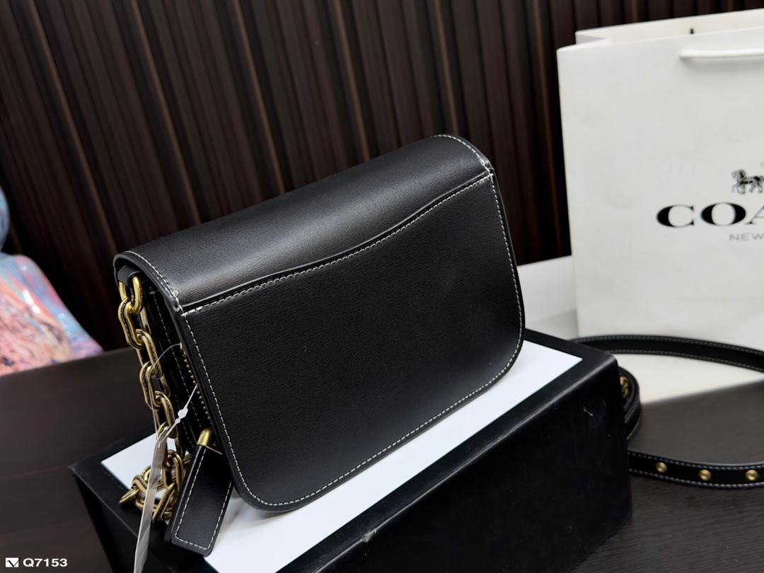Replica Coach Bag 20*15CM