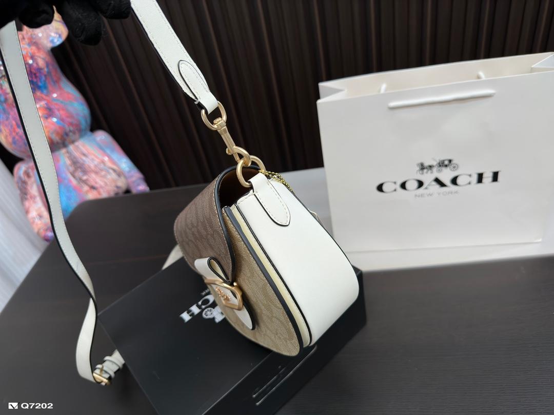 Replica Coach Bag 17*20CM