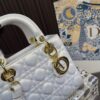 Replica Dior Bag 17*20CM