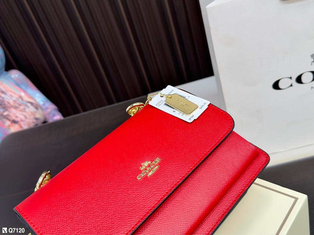 Replica Coach Bag 16*21CM