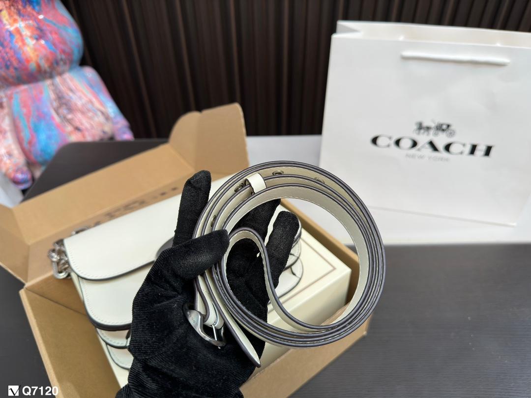 Replica Coach Bag 21*13CM