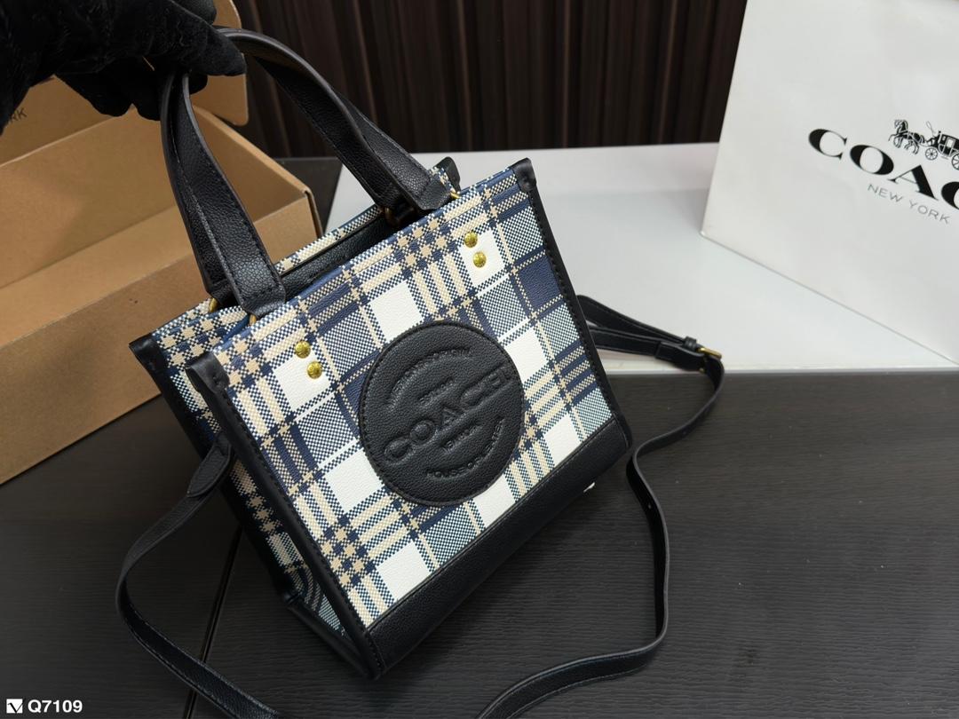 Replica Coach Bag 21*21CM