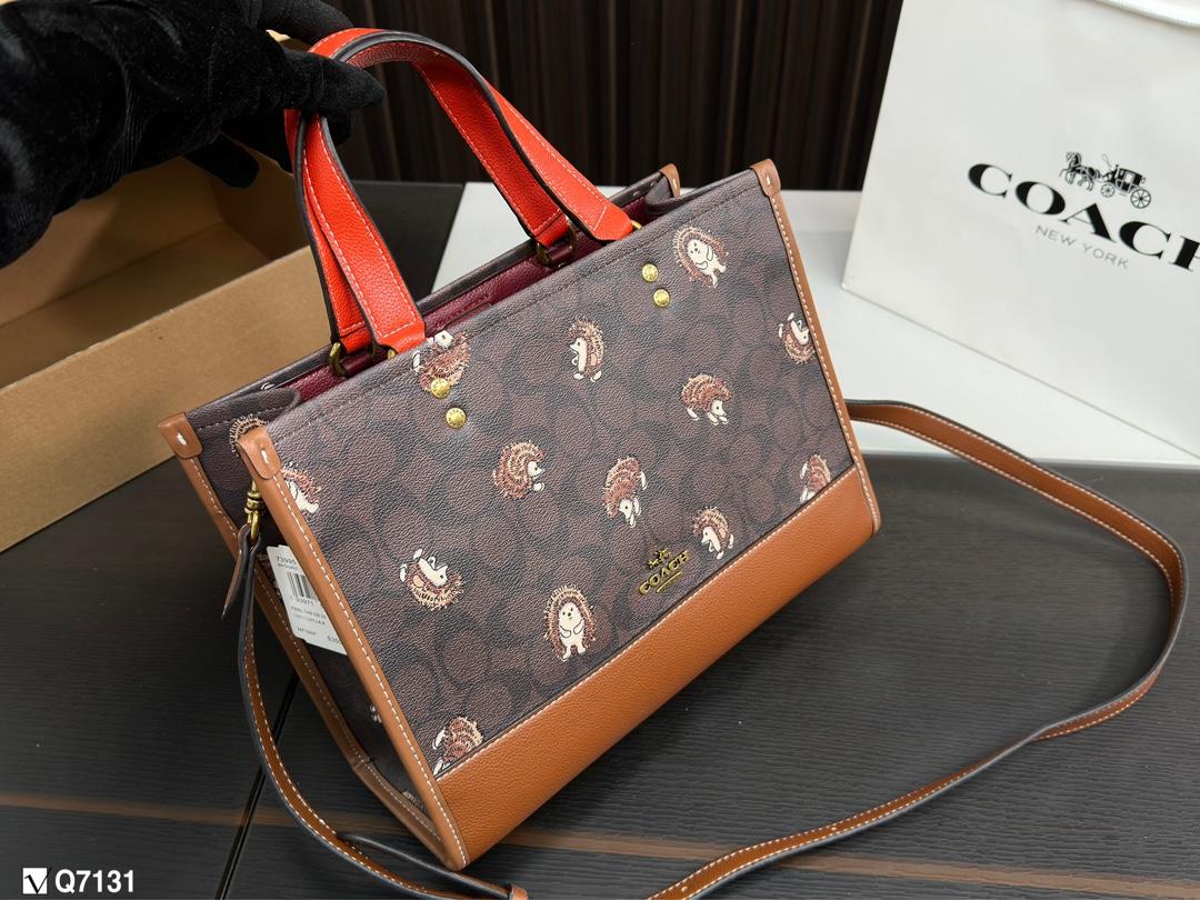 Replica Coach Bag 22*29CM