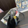 Replica Dior Bag 22*14CM