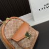 Replica Coach Bag 22*24CM