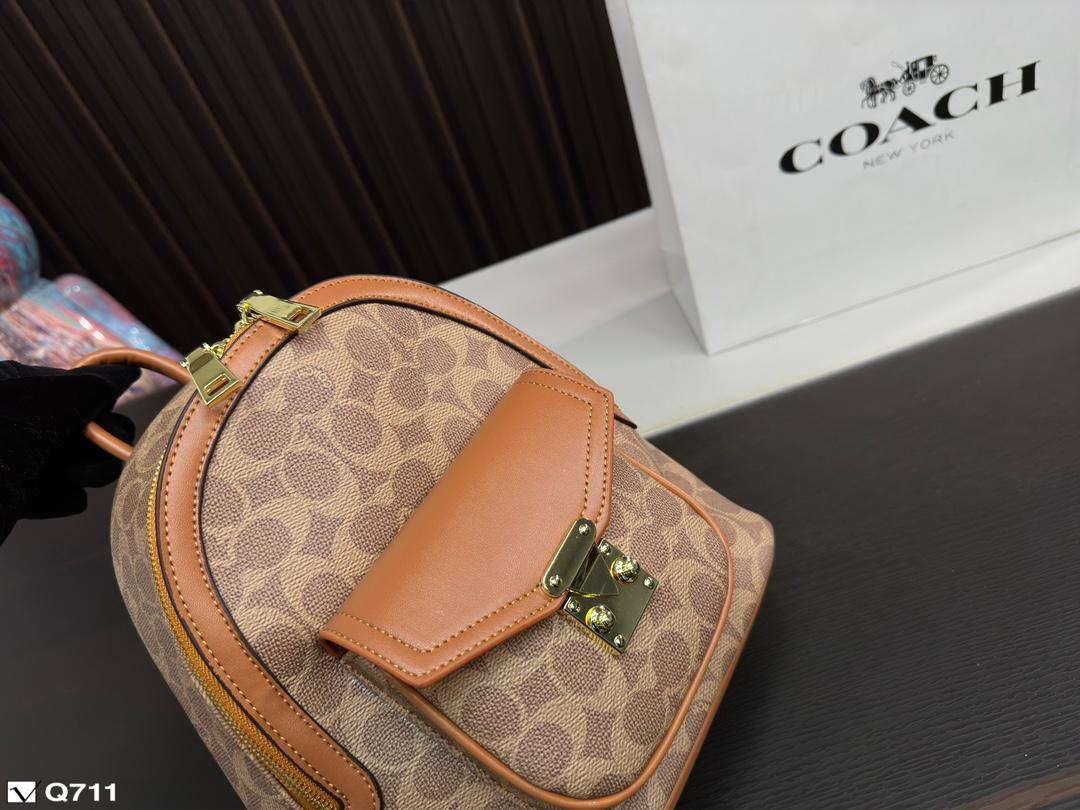 Replica Coach Bag 22*24CM