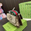 Replica Gucci Bag 22*16CM
