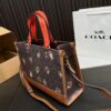 Replica Coach Bag 22*29CM