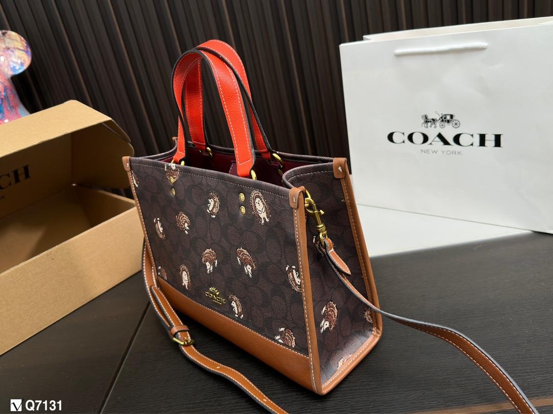 Replica Coach Bag 22*29CM