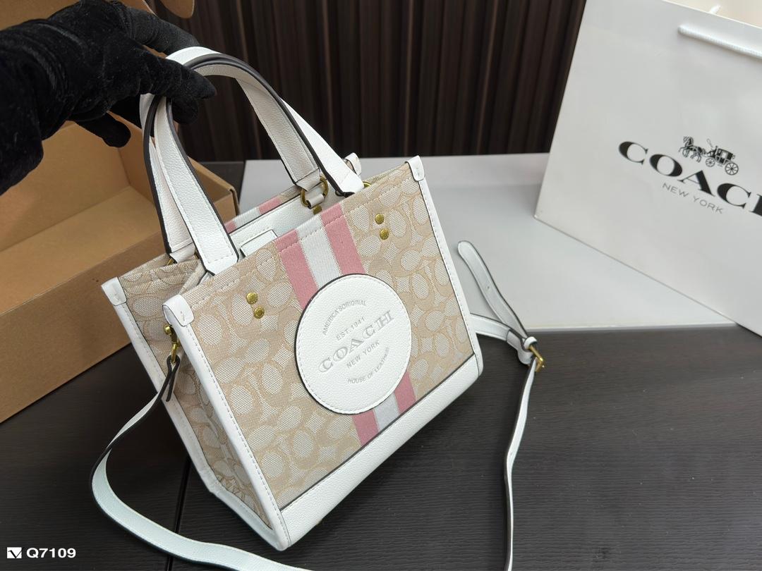 Replica Coach Bag 21*21CM