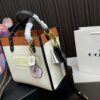 Replica Coach Bag 21*21CM/29*22CM