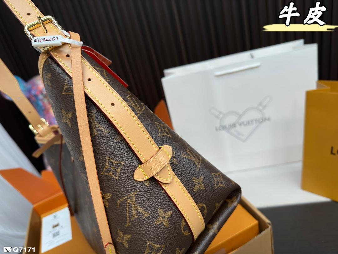 Replica Louis Vuitton Bag 29*22CM/38*28CM