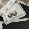 Replica DIOR Earring