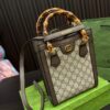 Replica Gucci Bag 22*18CM