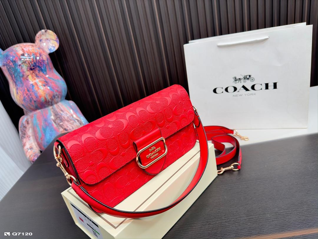 Replica Coach Bag 14*25CM