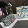 Replica Dior Bag 22*14CM