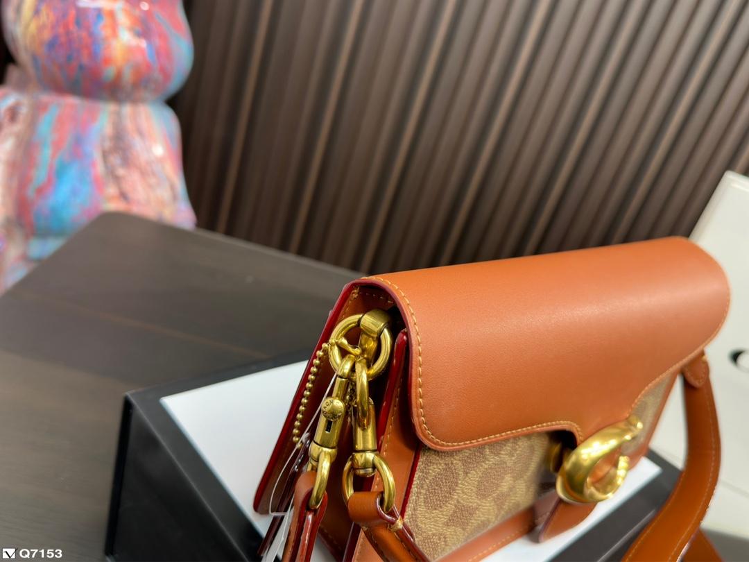 Replica Coach Bag 13*25CM
