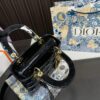 Replica Dior Bag 17*20CM