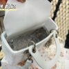 Replica Dior Bag 17CM/20CM