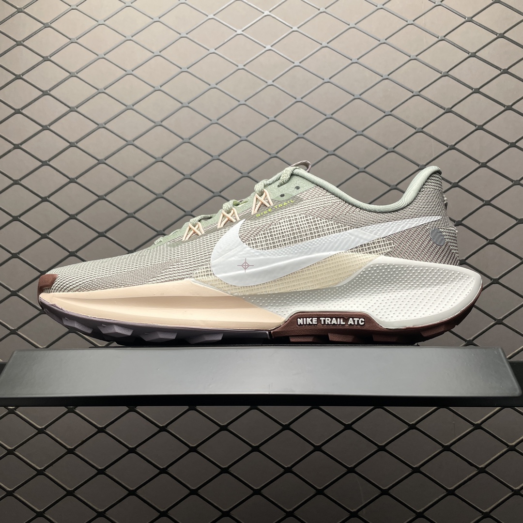Replica Nike Shoe Nike Peactx Pegasus Trail 5 DV3865-300