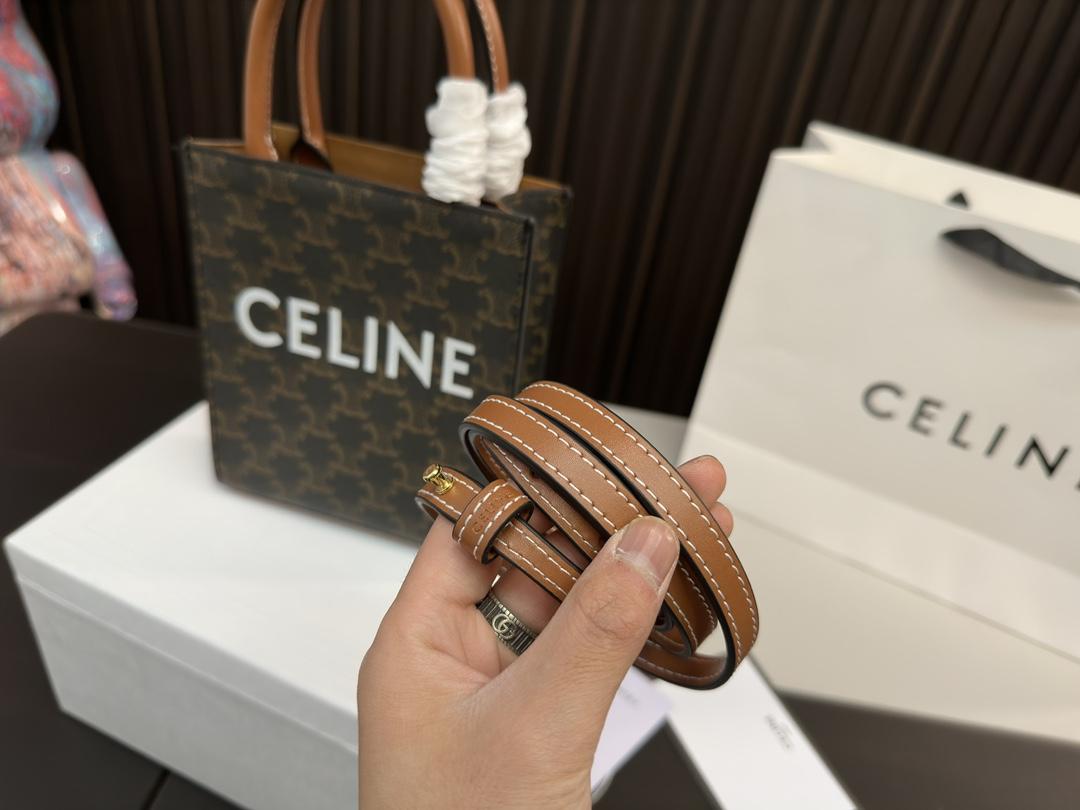 Replica Celine Bag 17*21CM