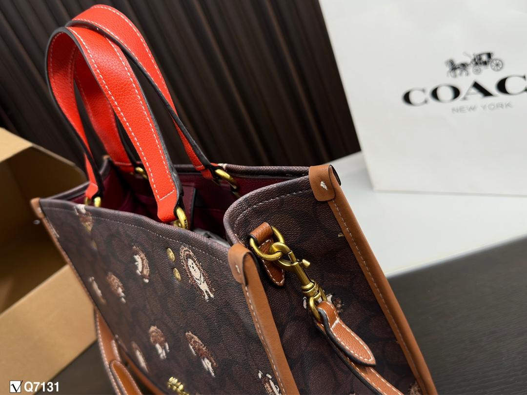 Replica Coach Bag 22*29CM