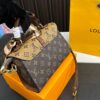 Replica Louis Vuitton Bag 22*15CM