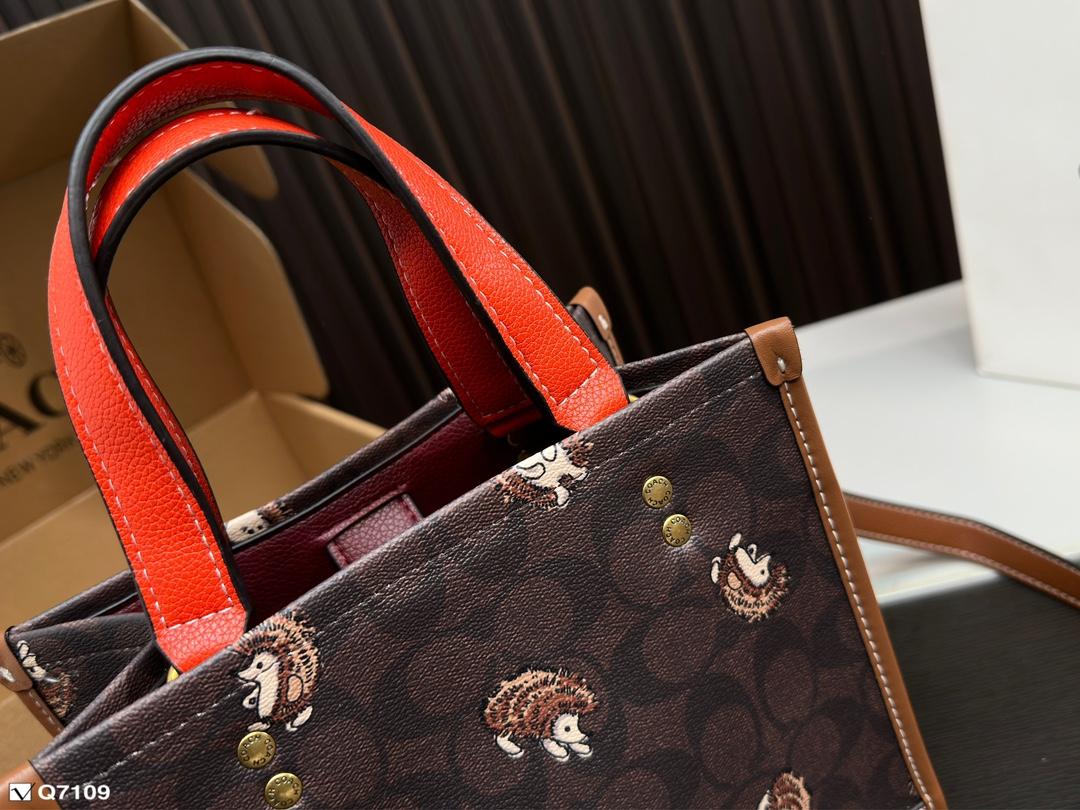Replica Coach Bag 21*21CM