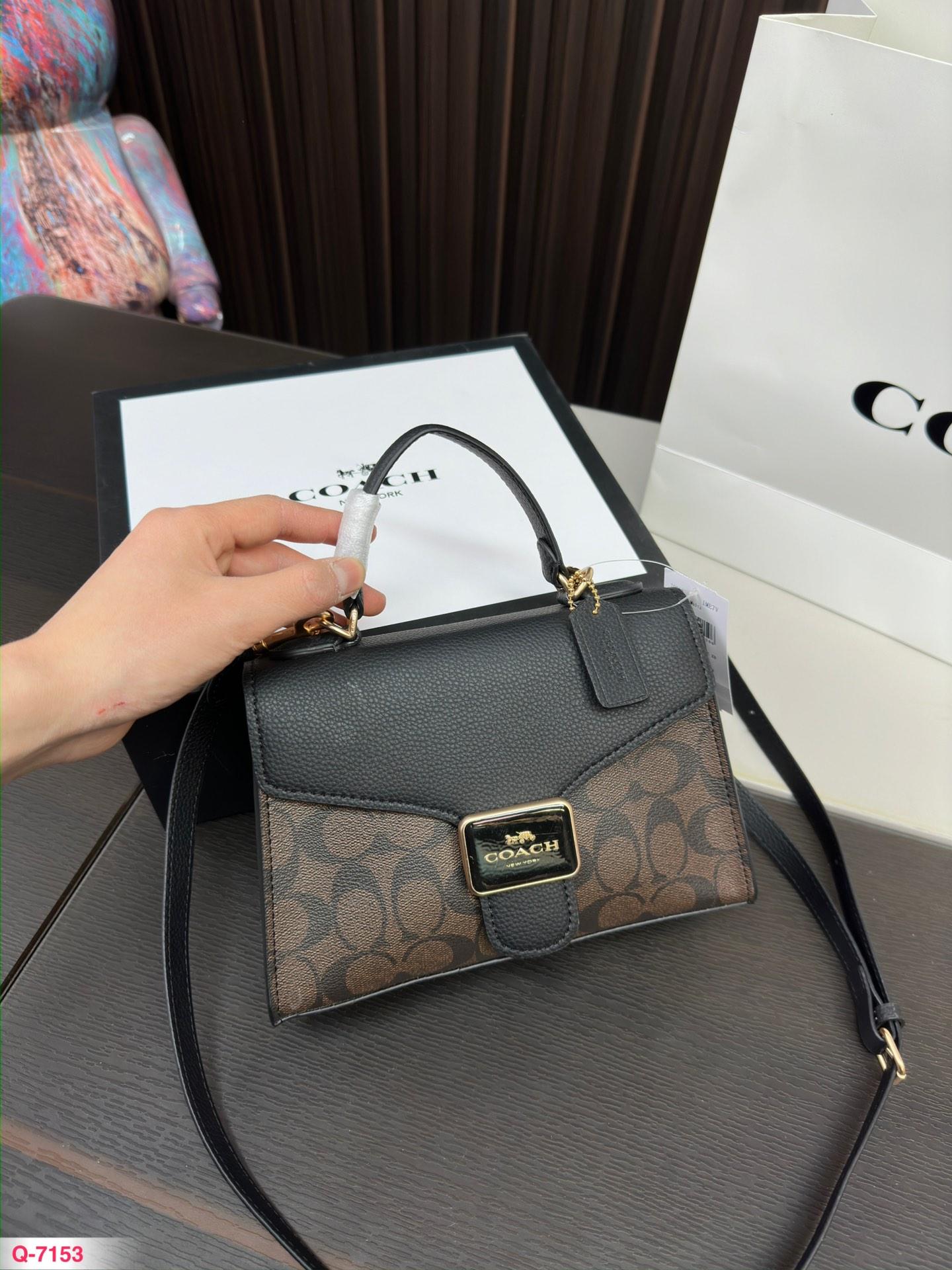 Replica Coach Bag 22*15CM