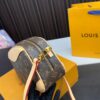 Replica Louis Vuitton Bag 20*14CM
