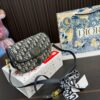 Replica Dior Bag 22*14CM