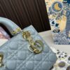 Replica Dior Bag 17*20CM