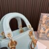 Replica Dior Bag  17*7*14CM