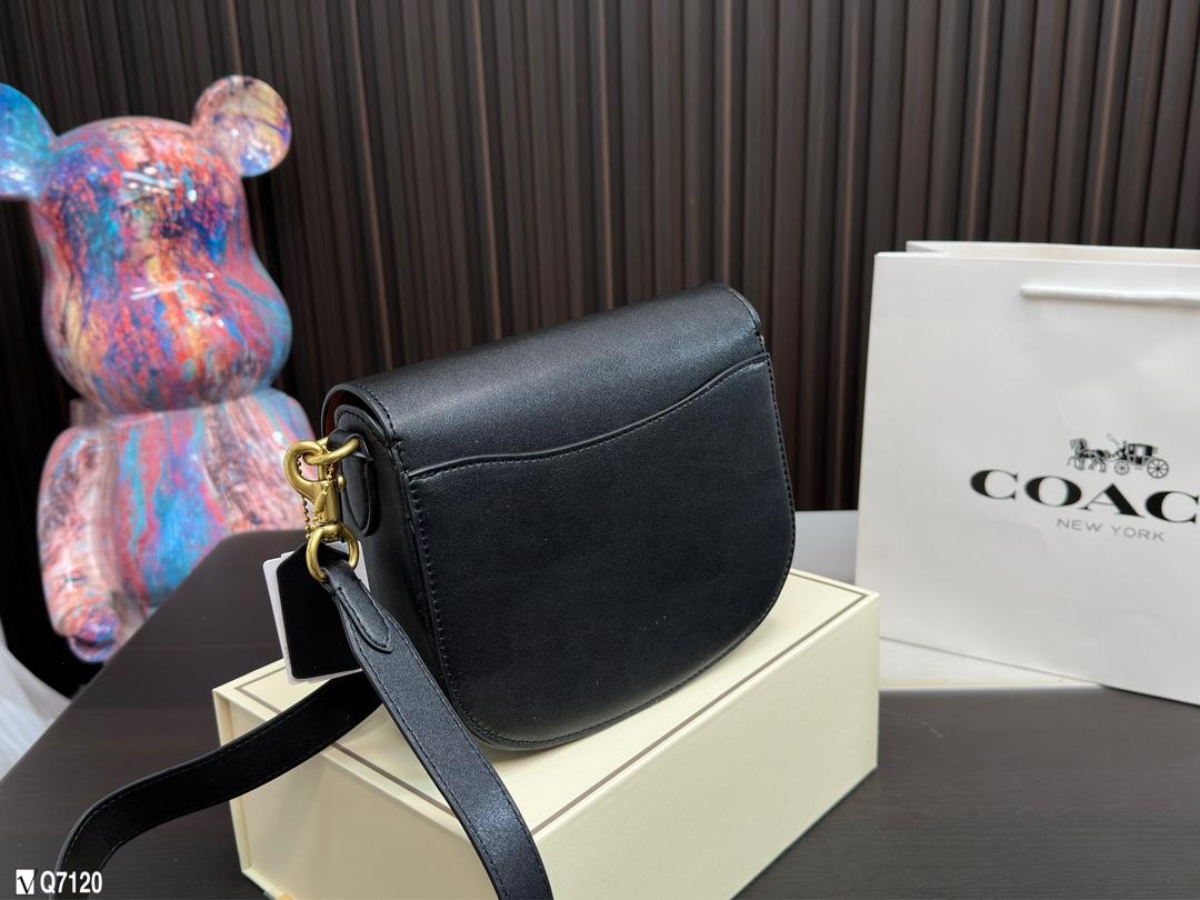 Replica Coach Bag 22*17CM