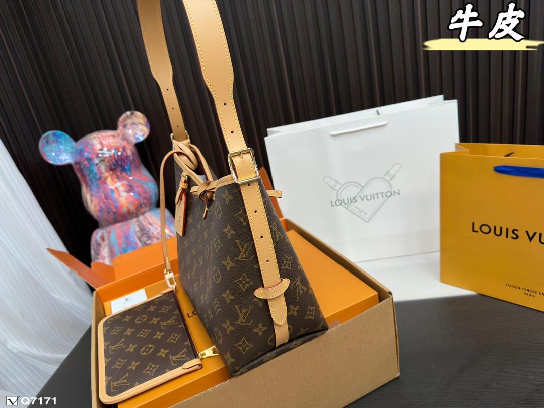 Replica Louis Vuitton Bag 29*22CM/38*28CM