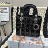 Replica Dior Bag 17CM/20CM