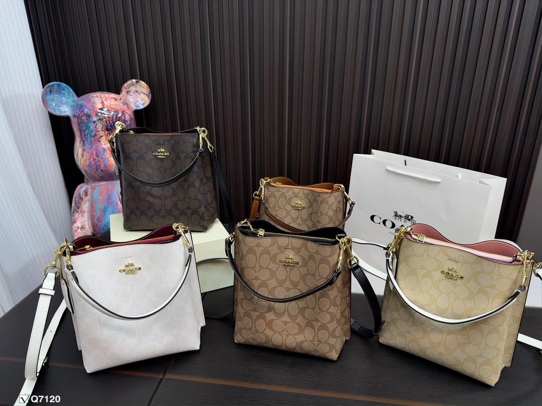 Replica Coach Bag 20*22CM