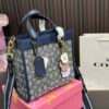 Replica Coach Bag 21CM