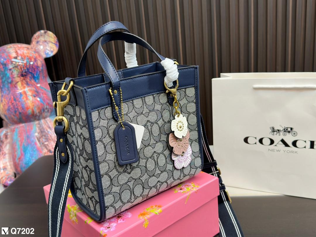 Replica Coach Bag 21CM