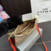 Replica Coach Bag 12*23CM