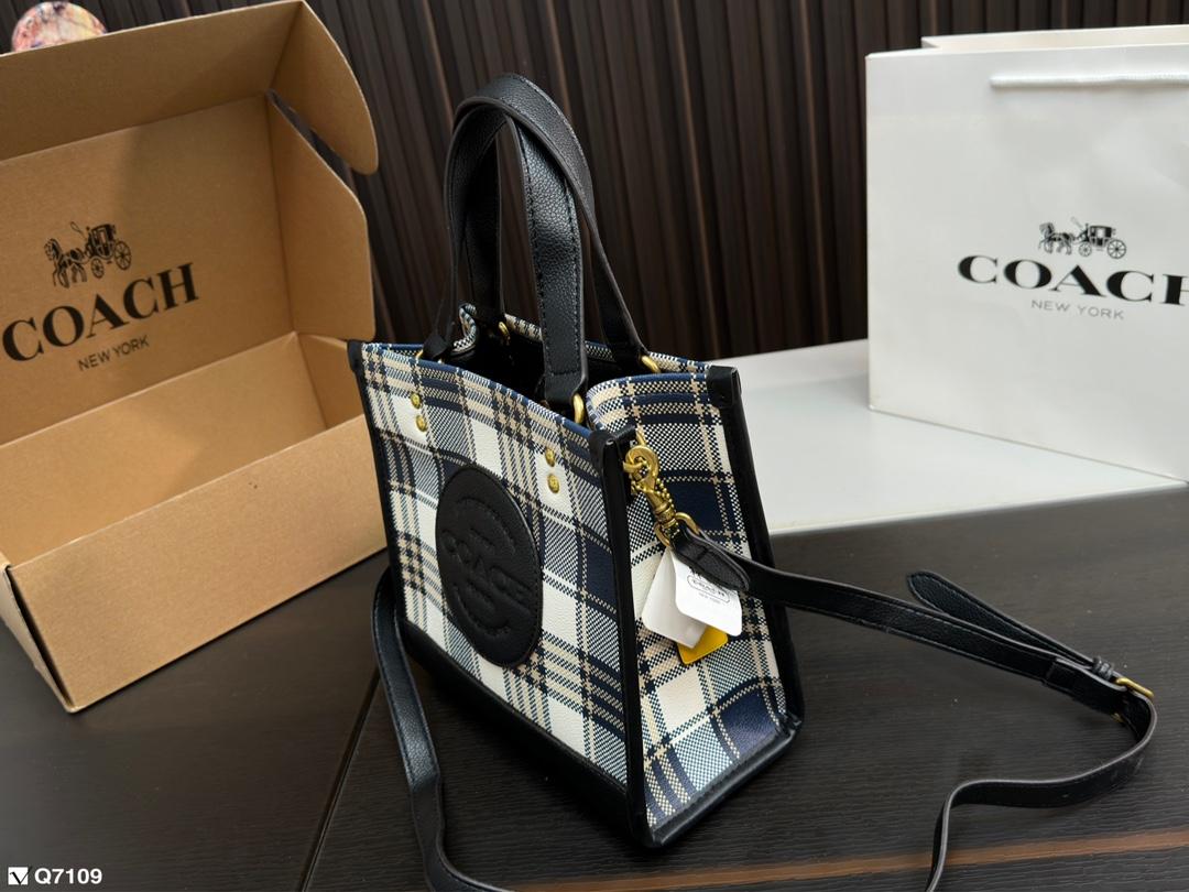 Replica Coach Bag 21*21CM