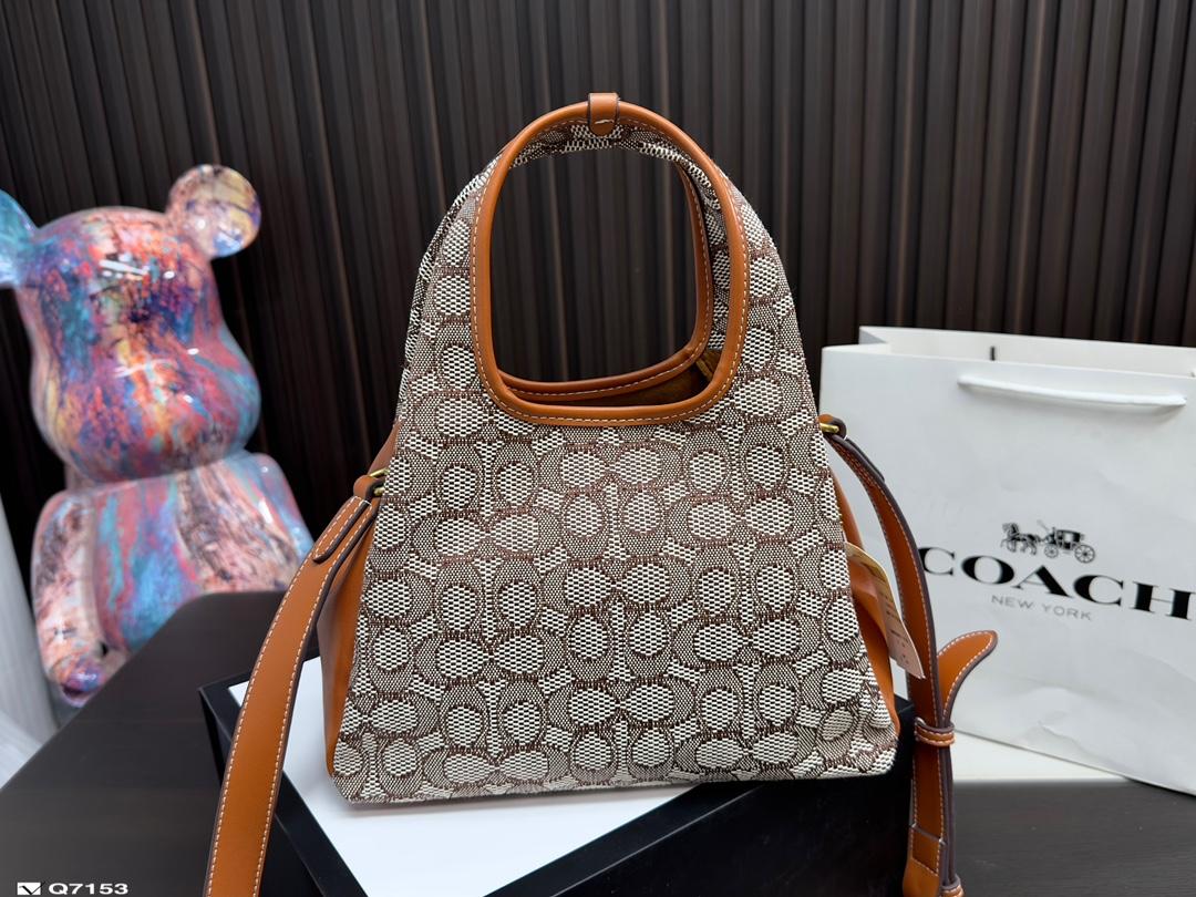 Replica Coach Bag 25*18CM