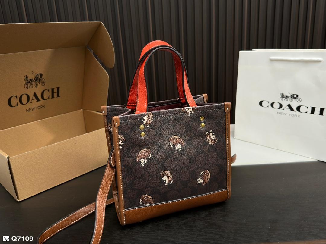 Replica Coach Bag 21*21CM