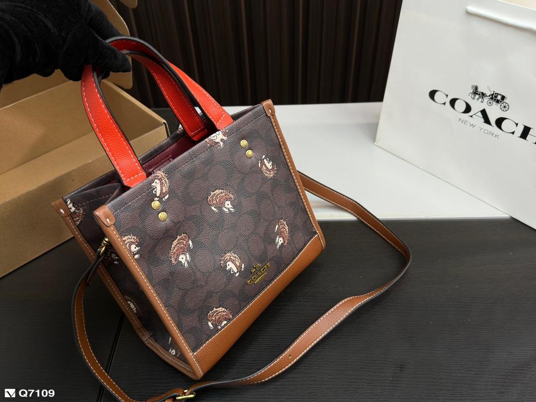 Replica Coach Bag 21*21CM