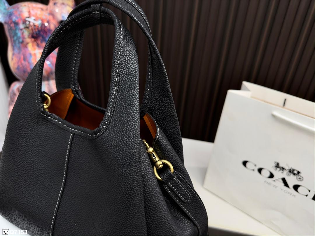 Replica Coach Bag 25*18CM