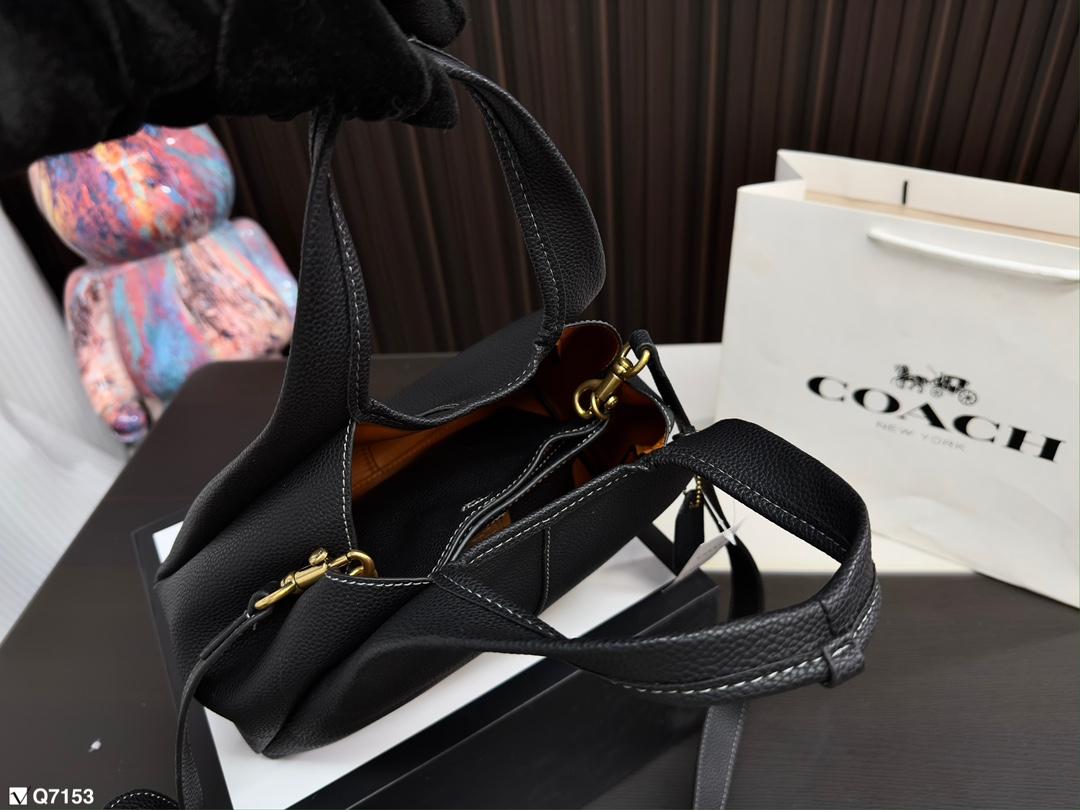 Replica Coach Bag 25*18CM