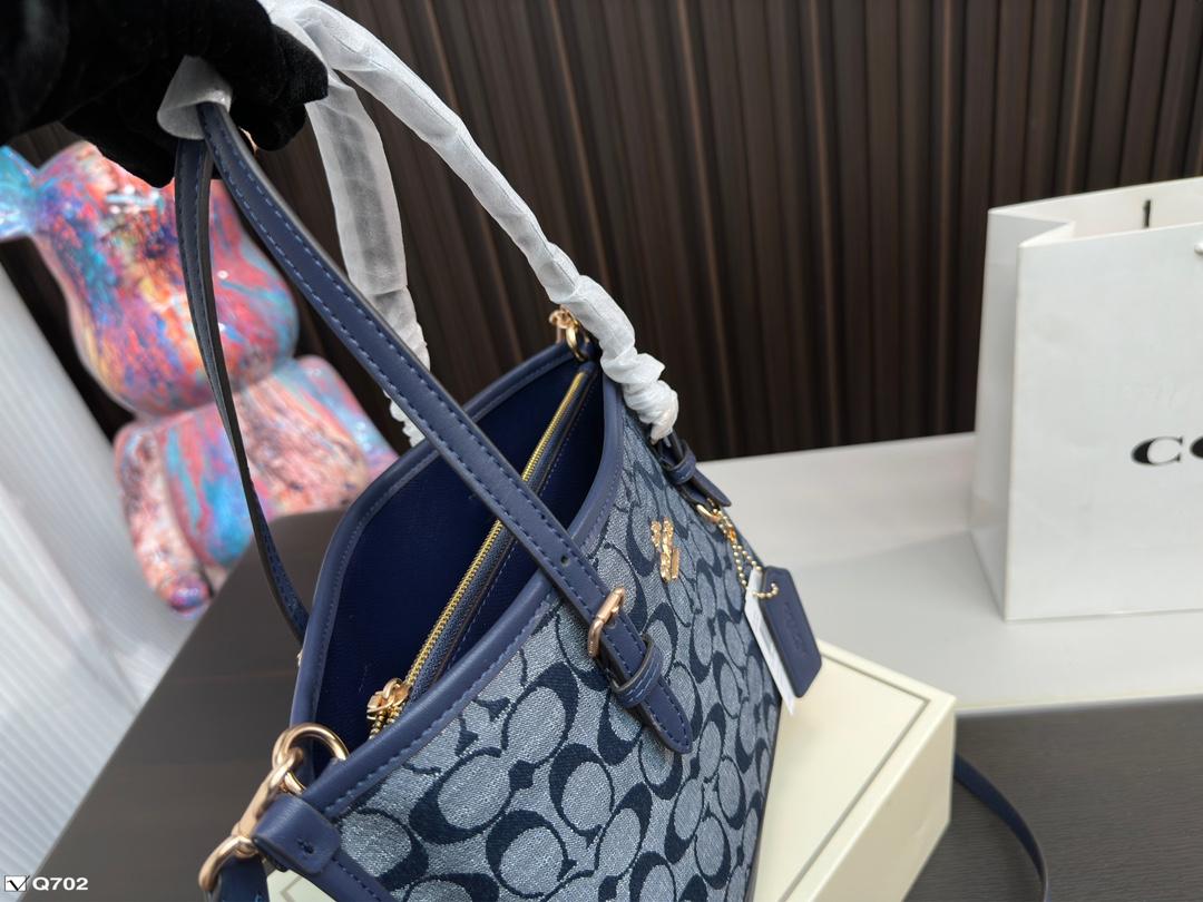 Replica Coach Bag 25*20CM