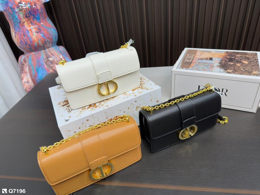 Replica Dior Bag 21*11CM