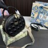 Replica Dior Bag 20*17CM